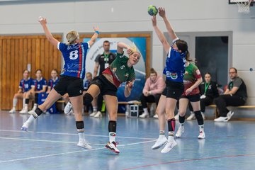 Bild 224 - F HSG Kremperheide/Muensterdorf - HSG Holstein Kiel/Kronshagen : Ergebnis: 31:26